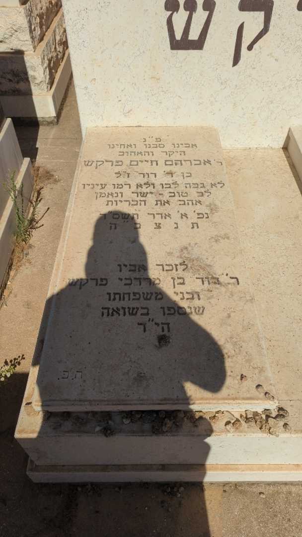 קברו של דוד פרקש. תמונה 1
