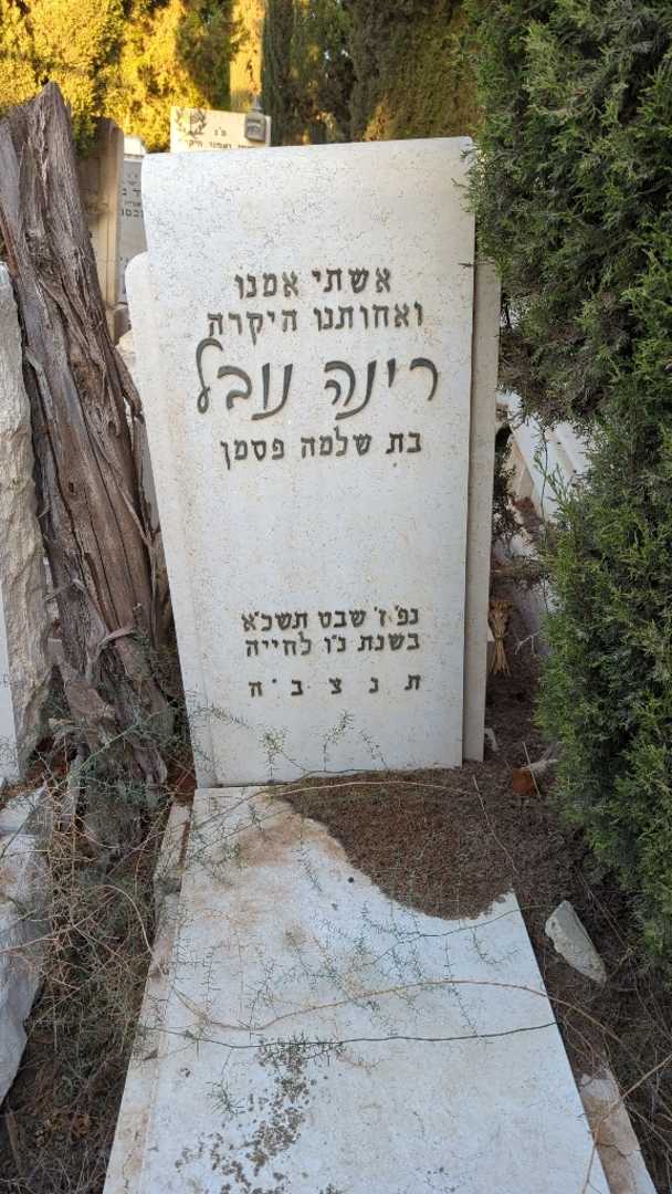 קברו של רינה נובל