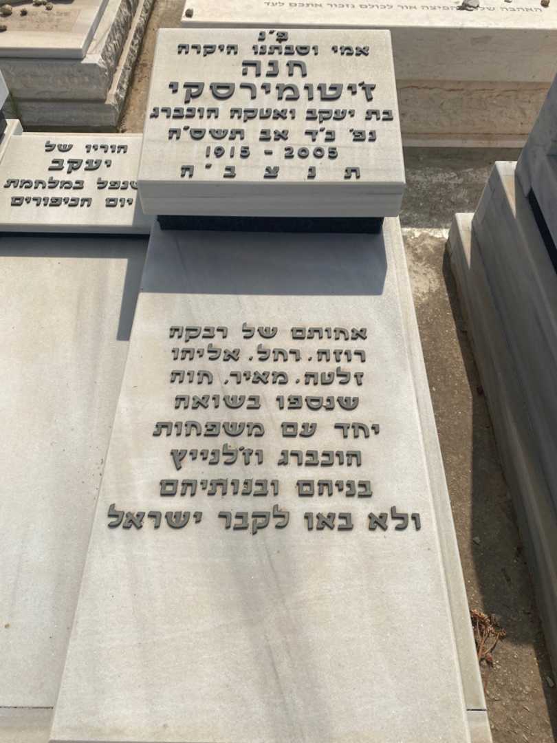 קברו של חנה ז'יטומירסקי. תמונה 2