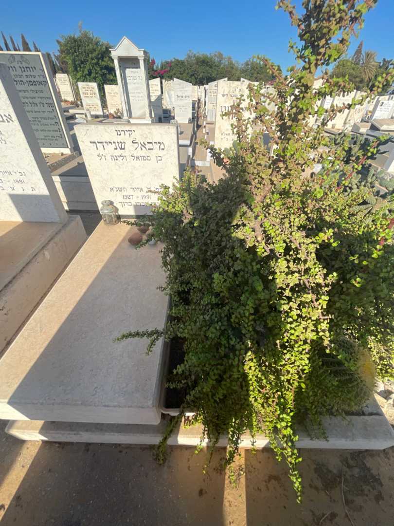 קברו של מיכאל שניידר. תמונה 1