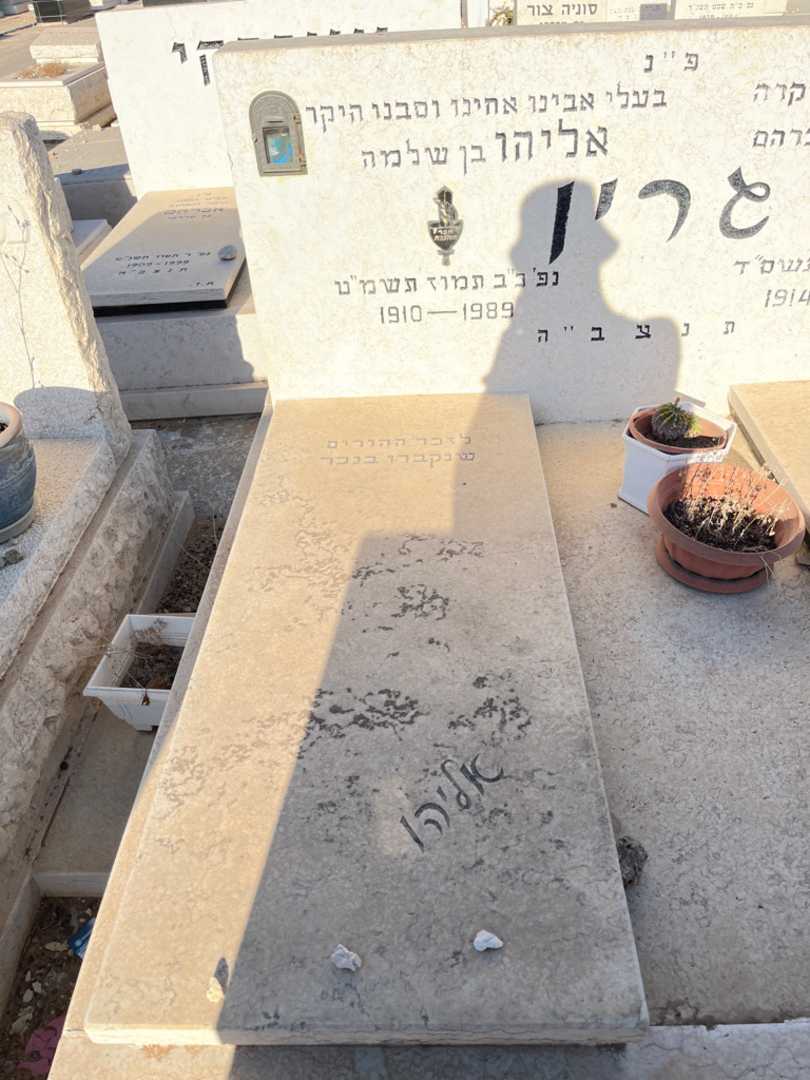 קברו של אליהו גרין. תמונה 2