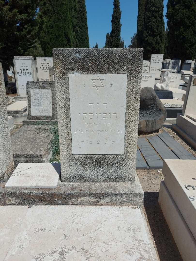 קברו של דוד רובינסקי. תמונה 2