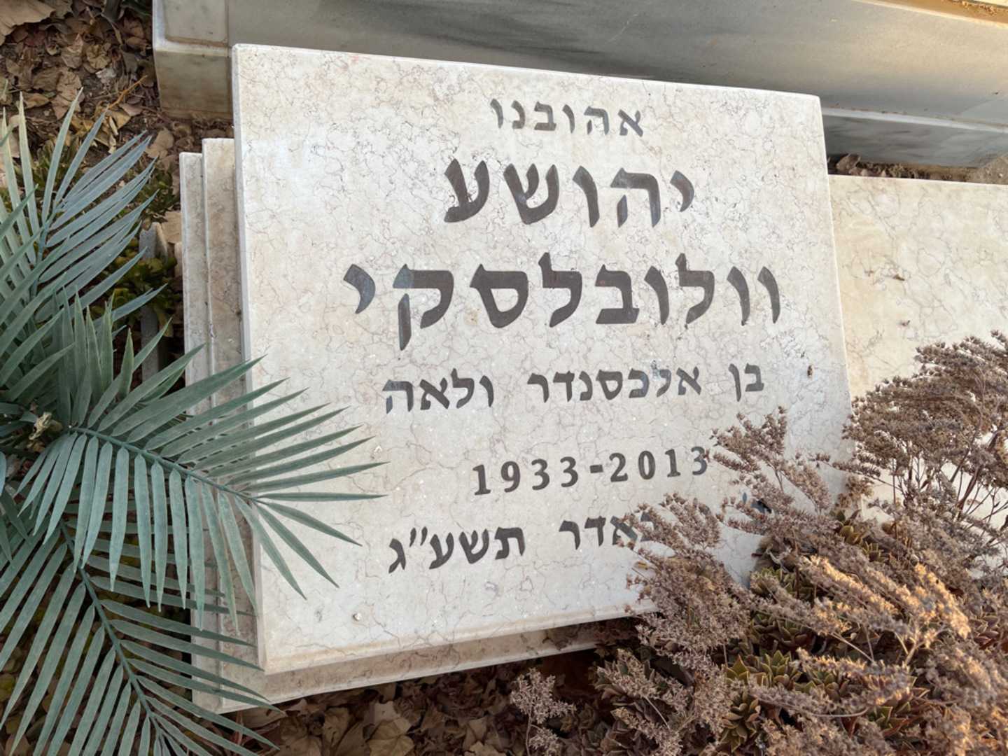 קברו של יהושע וולובלסקי. תמונה 2