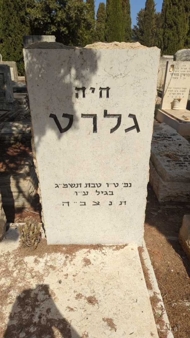 קברו של חיה גלרט. תמונה 2