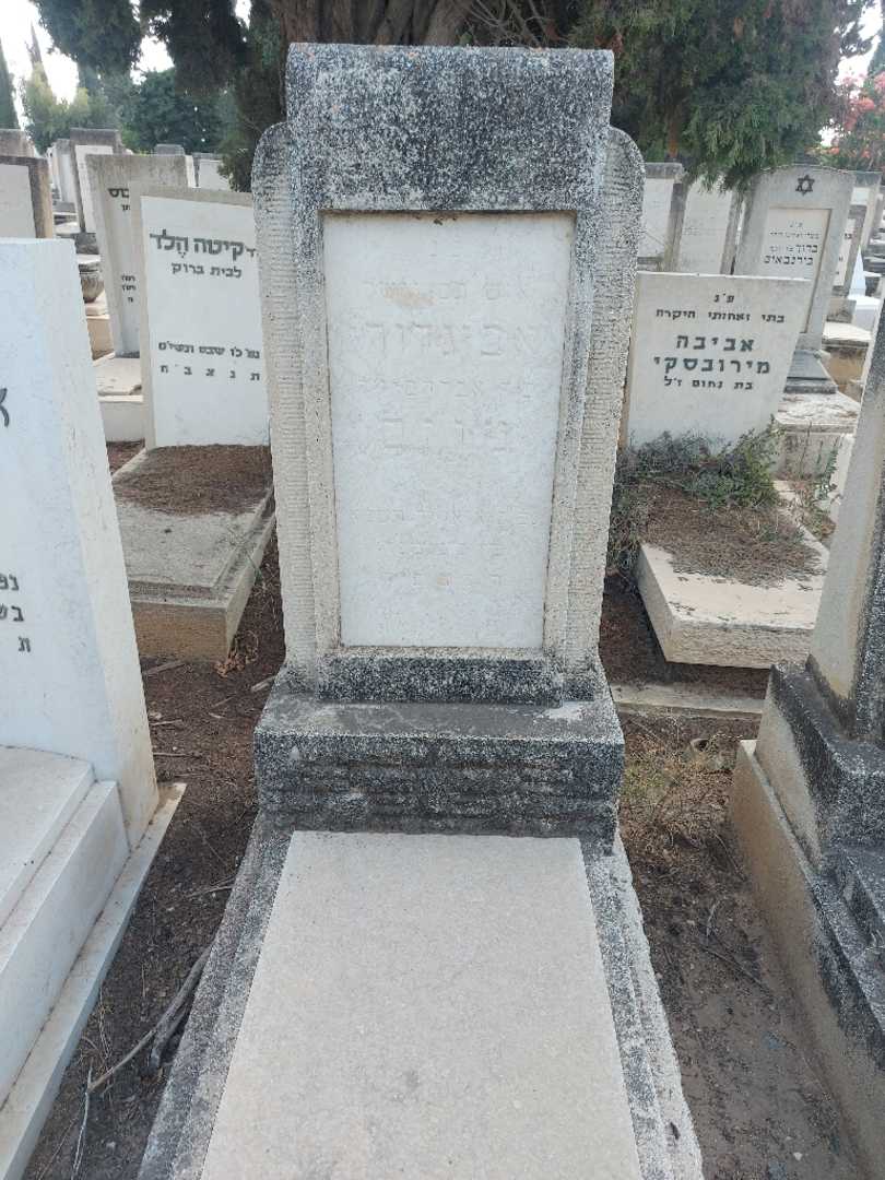 קברו של אביגדור מוזס