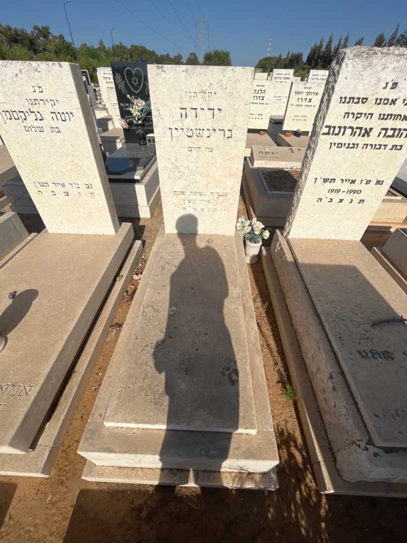 קברו של ידידה גרינשטיין. תמונה 1