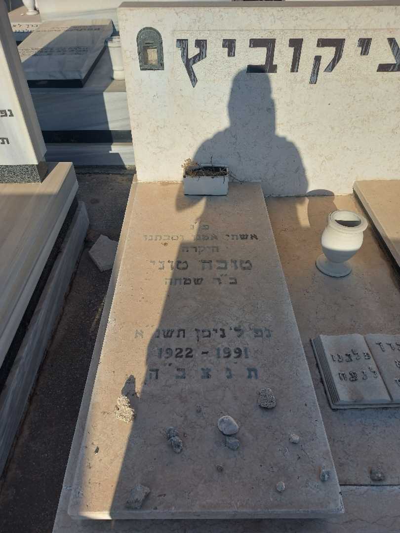 קברו של טובה טוני איציקוביץ. תמונה 1