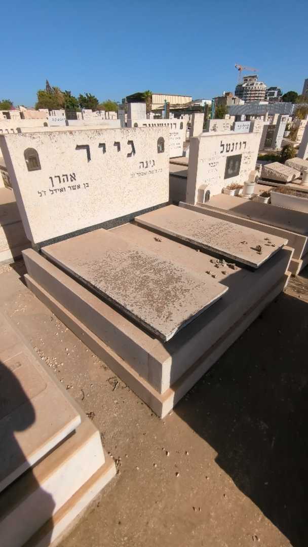 קברו של גינה גייר. תמונה 1