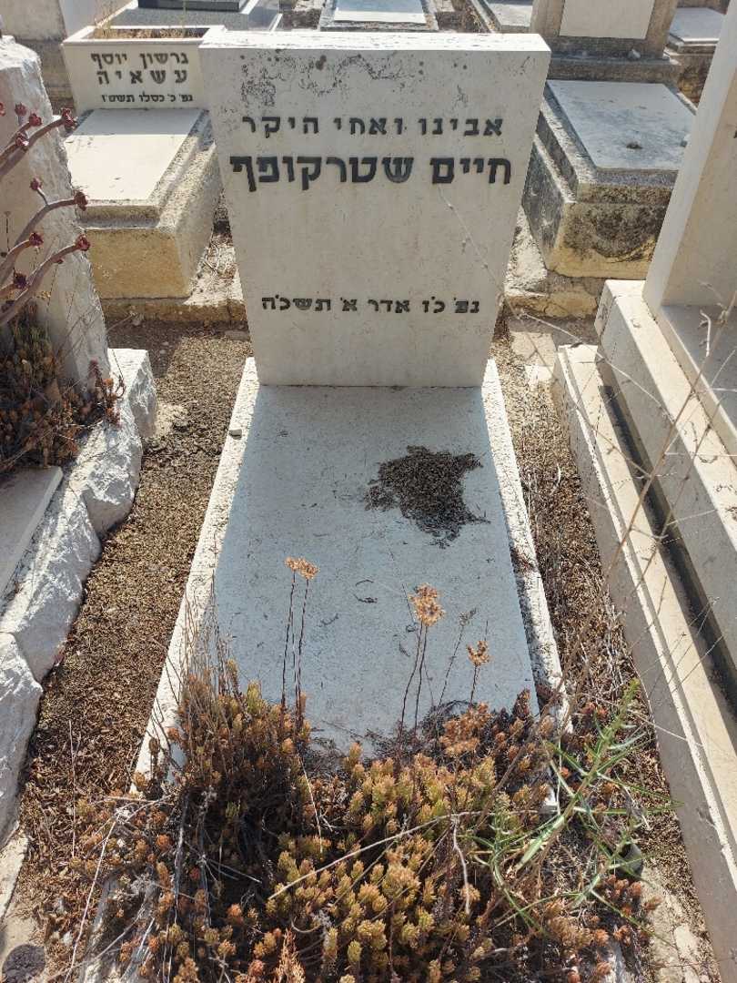 קברו של חיים שטרקופף