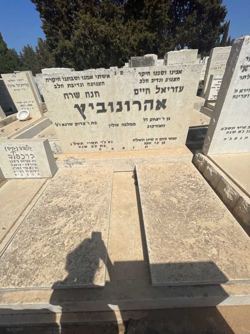 קברו של חנה שרה אהרונוביץ. תמונה 1