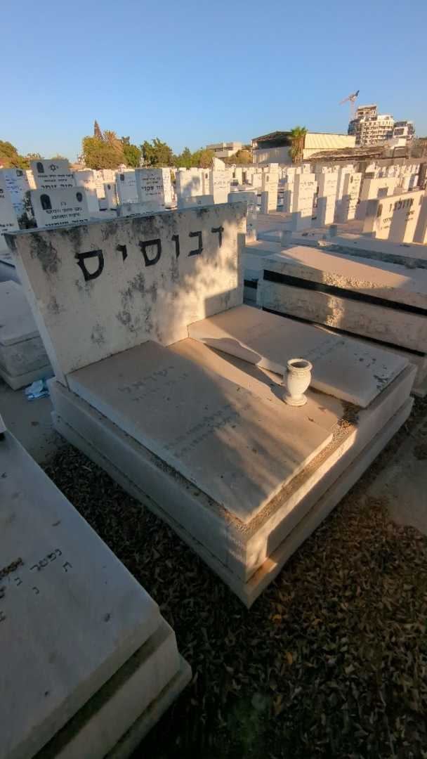 קברו של ישראל דבוסיס. תמונה 2