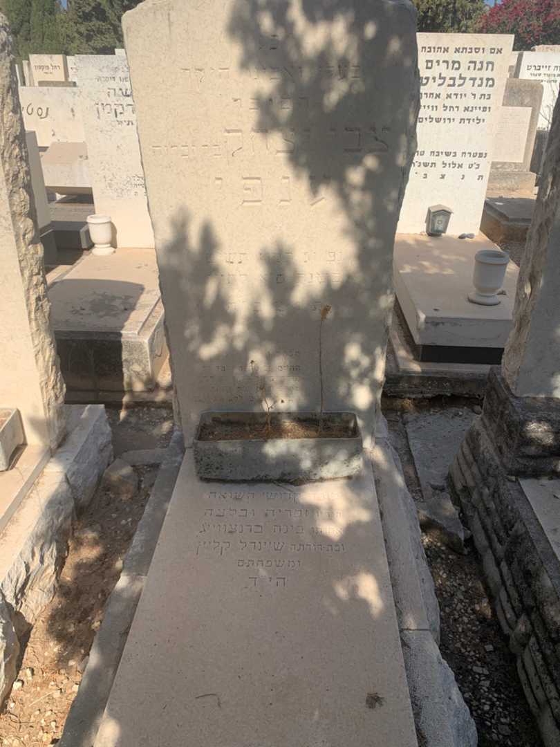 קברו של בינה ברנצוויי'ג