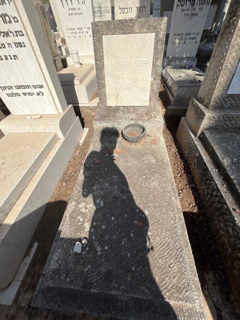 קברו של מינה ברקוביץ