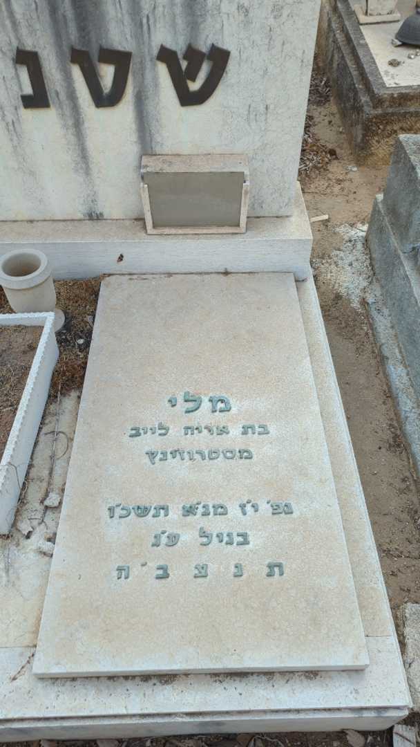 קברו של מלי שטנצלר. תמונה 2