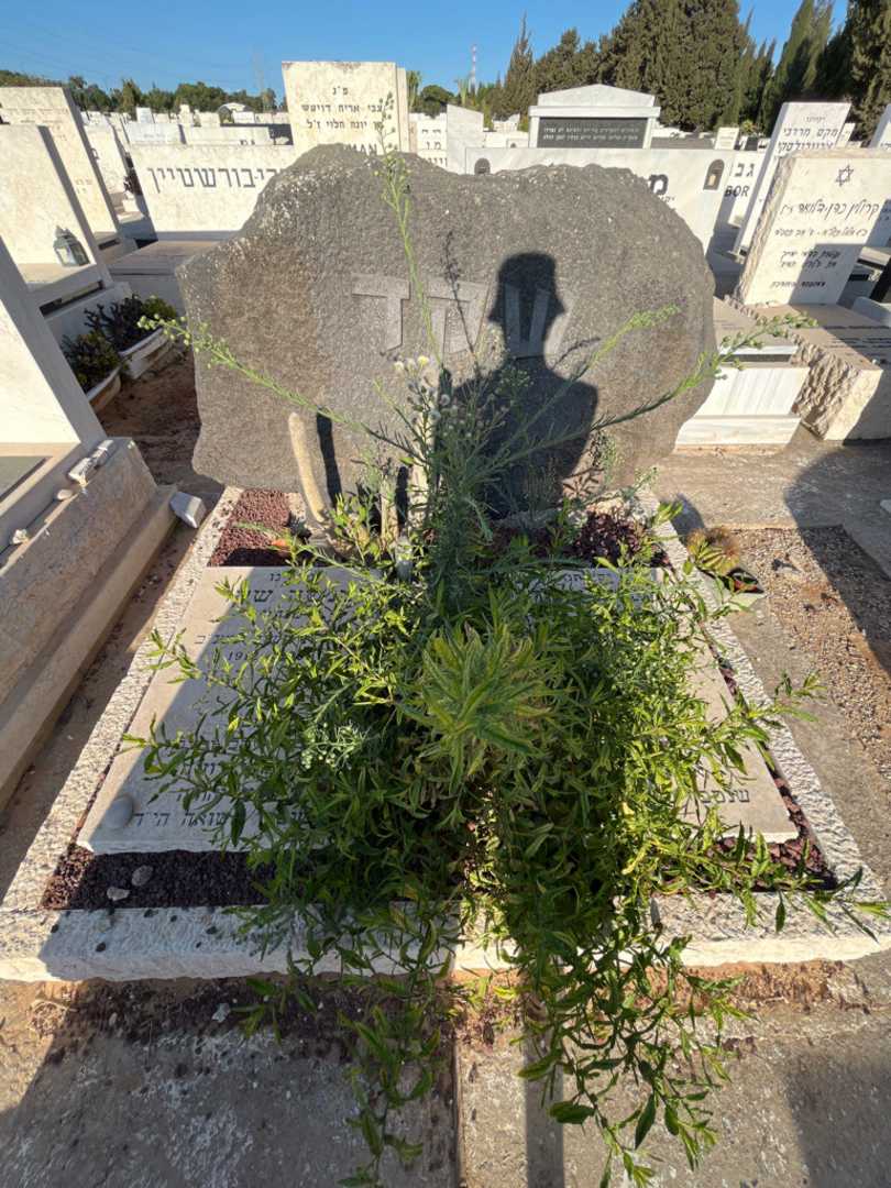 קברו של שרה שקד (זילביגר). תמונה 1