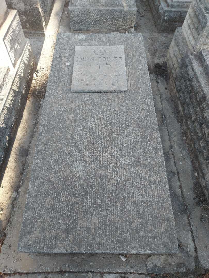 קברו של פלומבה אוטון לוי