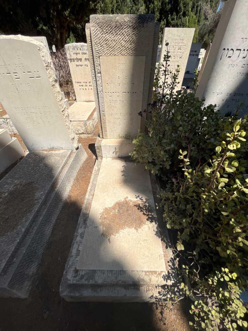 קברו של אייזיק ניימן