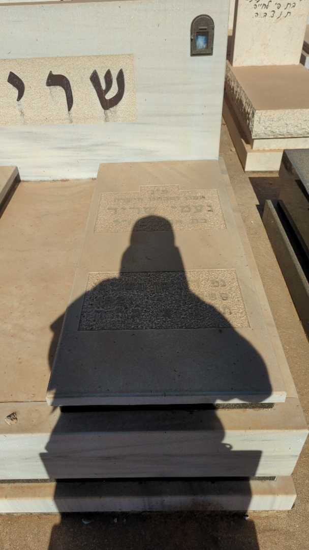 קברו של נעמי שריד. תמונה 1