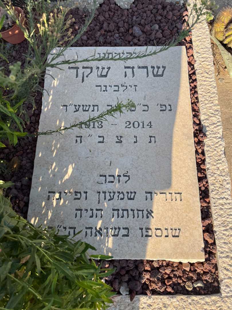 קברו של שרה שקד (זילביגר). תמונה 2