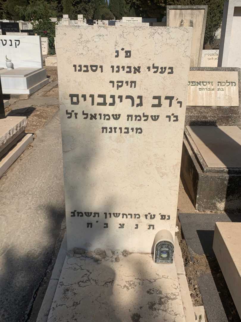 קברו של דב גרינבוים