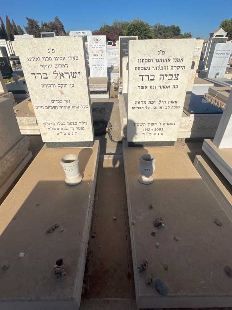 קברו של צביה ברד. תמונה 1