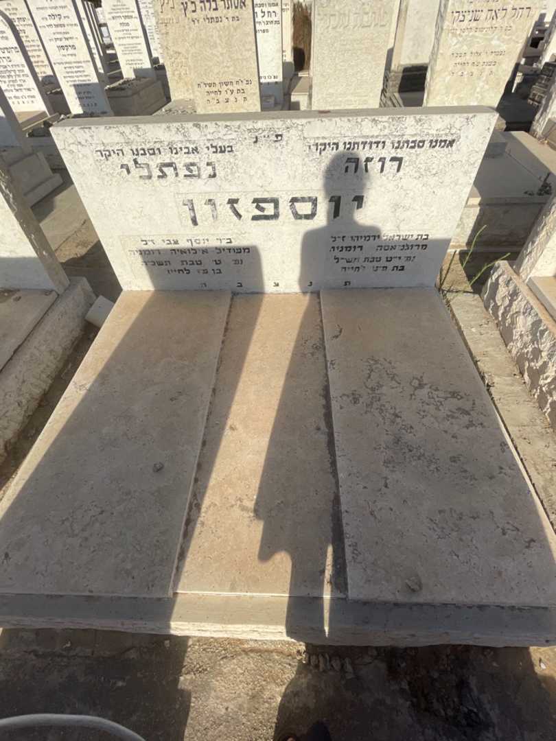 קברו של נפתלי יוספזון. תמונה 1