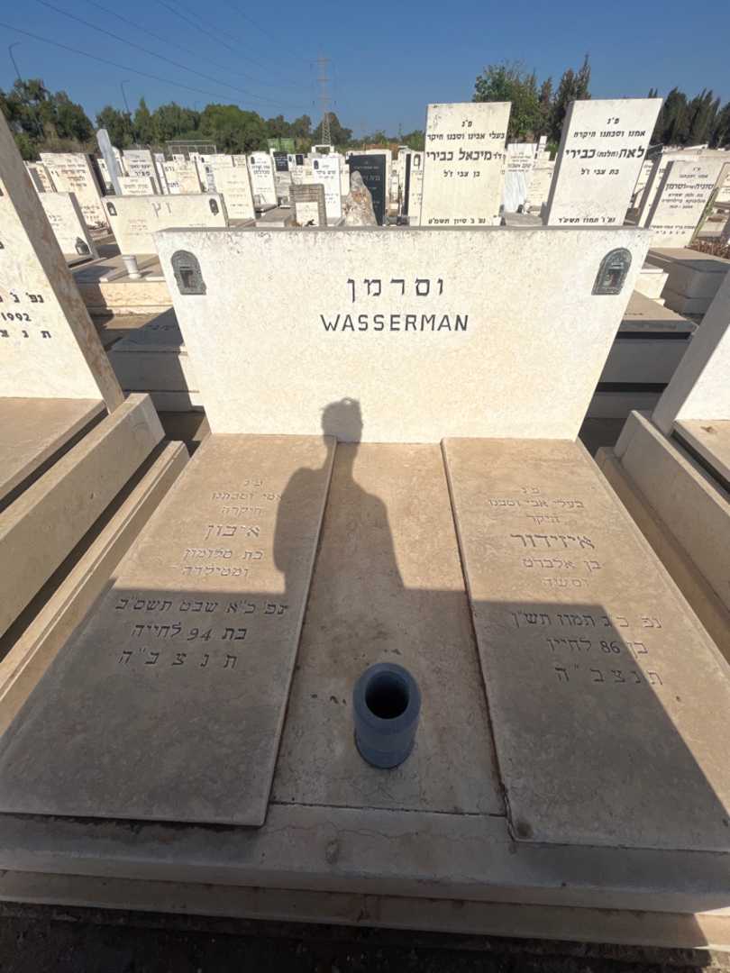 קברו של איבון וסרמן. תמונה 2