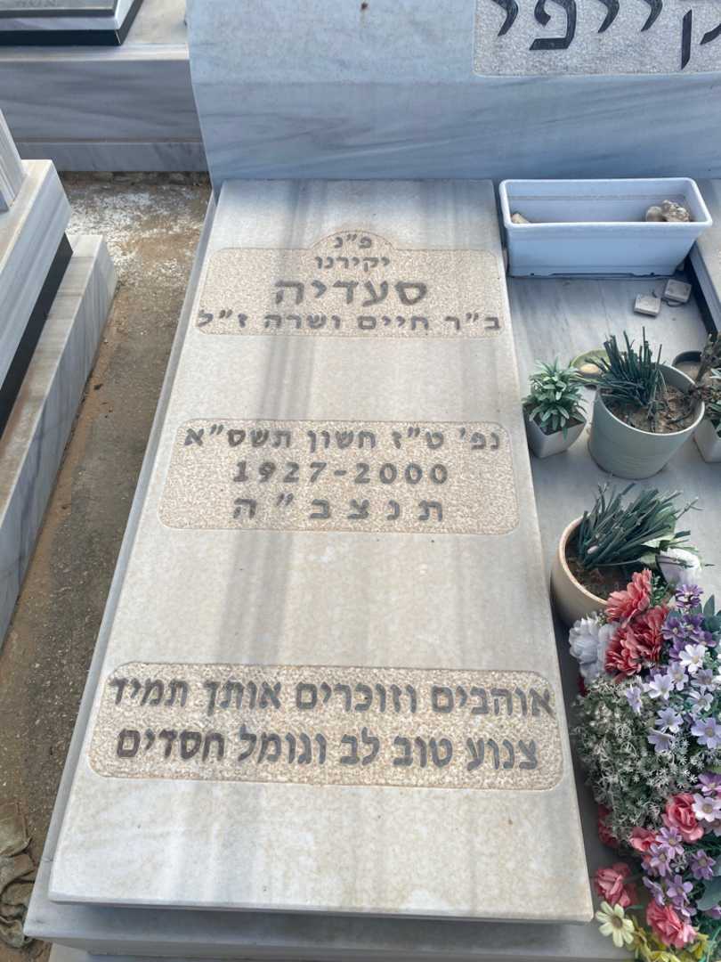 קברו של סעדיה קייפי. תמונה 2