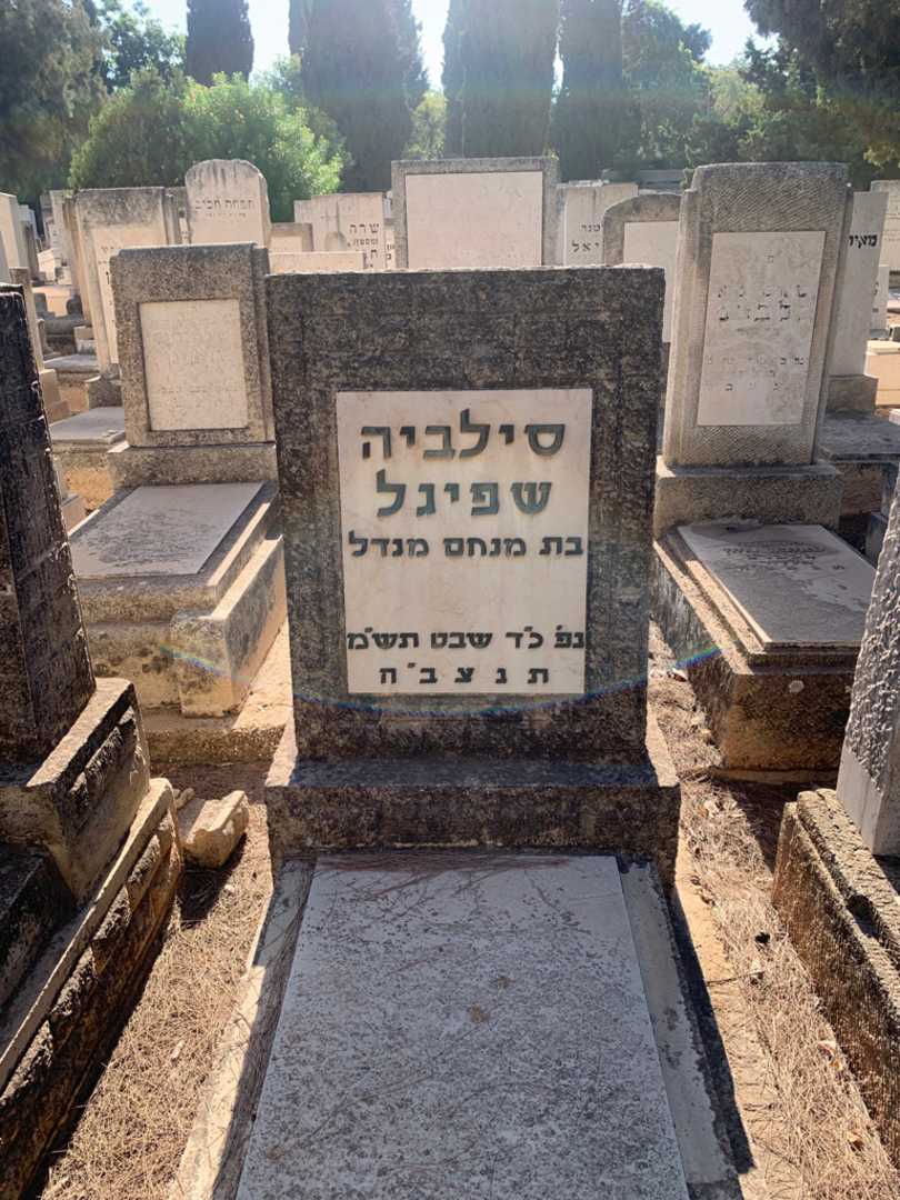 קברו של סילביה שפיגל