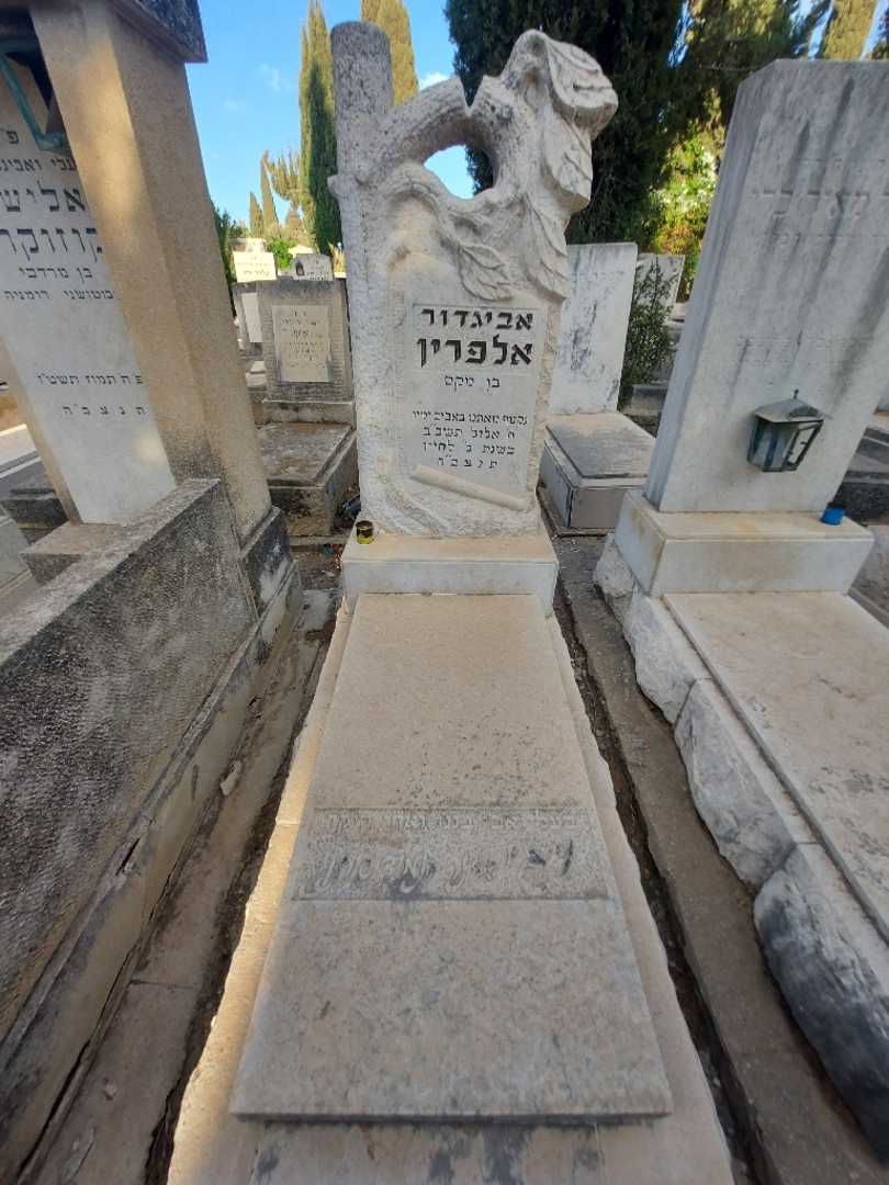 קברו של אביגדור אלפרין