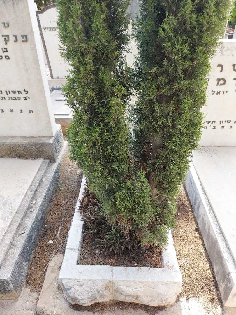 קברו של אברהם צובנר. תמונה 1