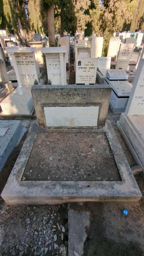 קברו של מיכאל פינקלר. תמונה 2