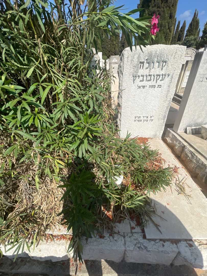 קברו של קרולה יעקובוביץ. תמונה 1