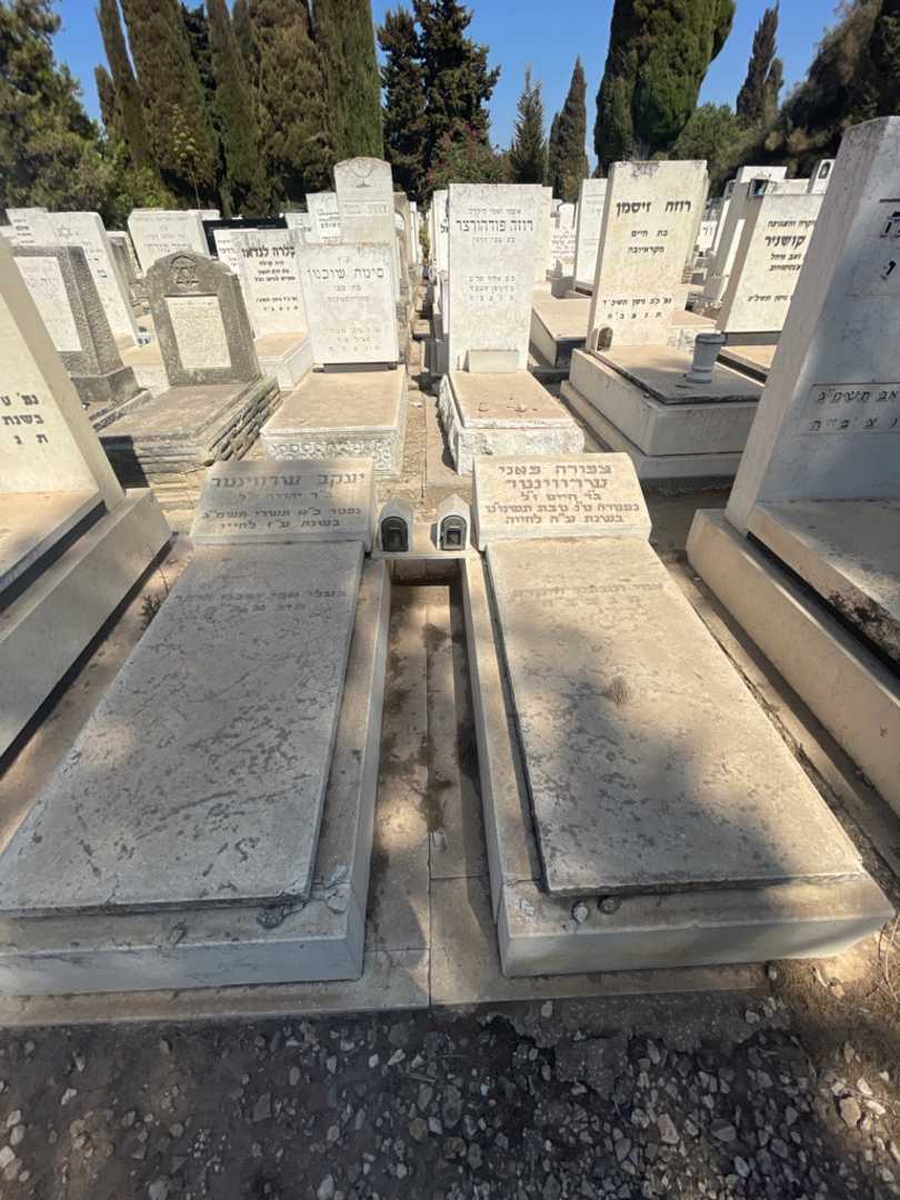 קברו של צפורה פאני שרווינטר. תמונה 1