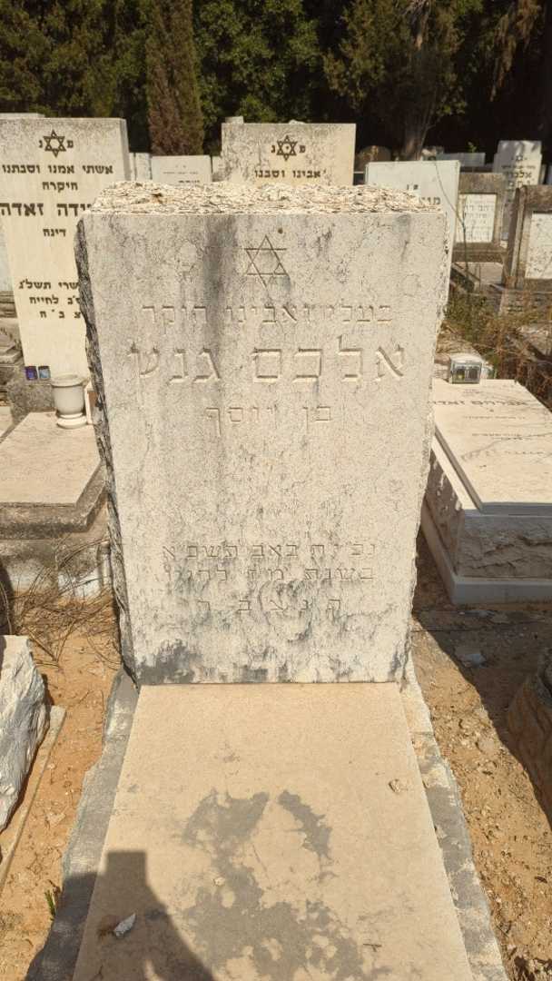 קברו של אלכס גנץ