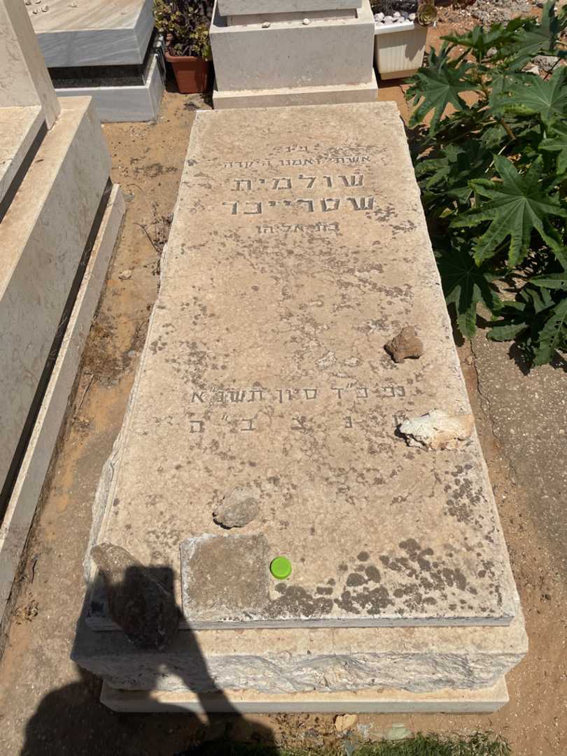 קברו של שולמית שסרייכר