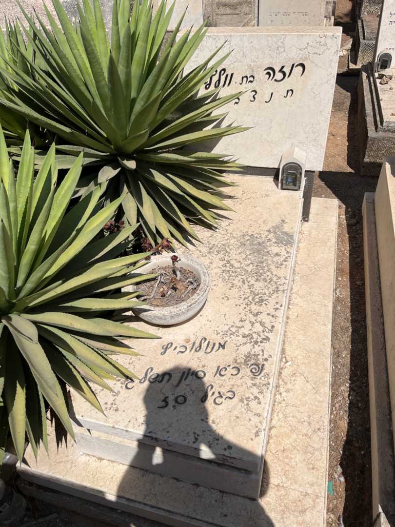 קברו של רוזה מנולוביץ. תמונה 1