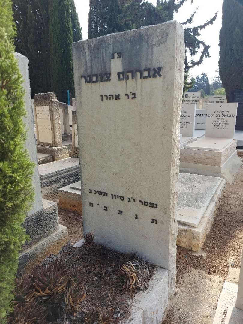 קברו של אברהם צובנר. תמונה 2