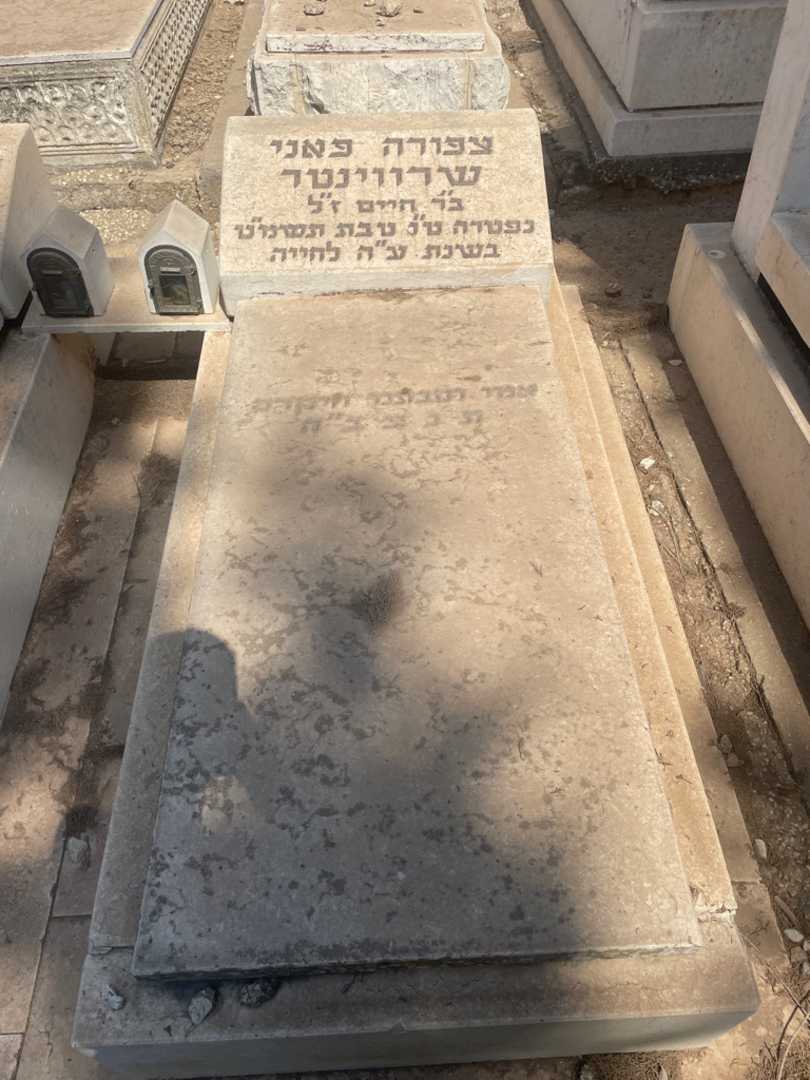 קברו של צפורה פאני שרווינטר. תמונה 2