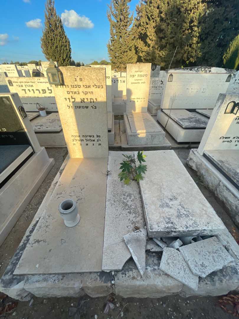 קברו של יחיא לוי. תמונה 1