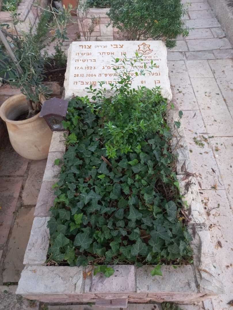 קברו של צבי "צ'רה" צור