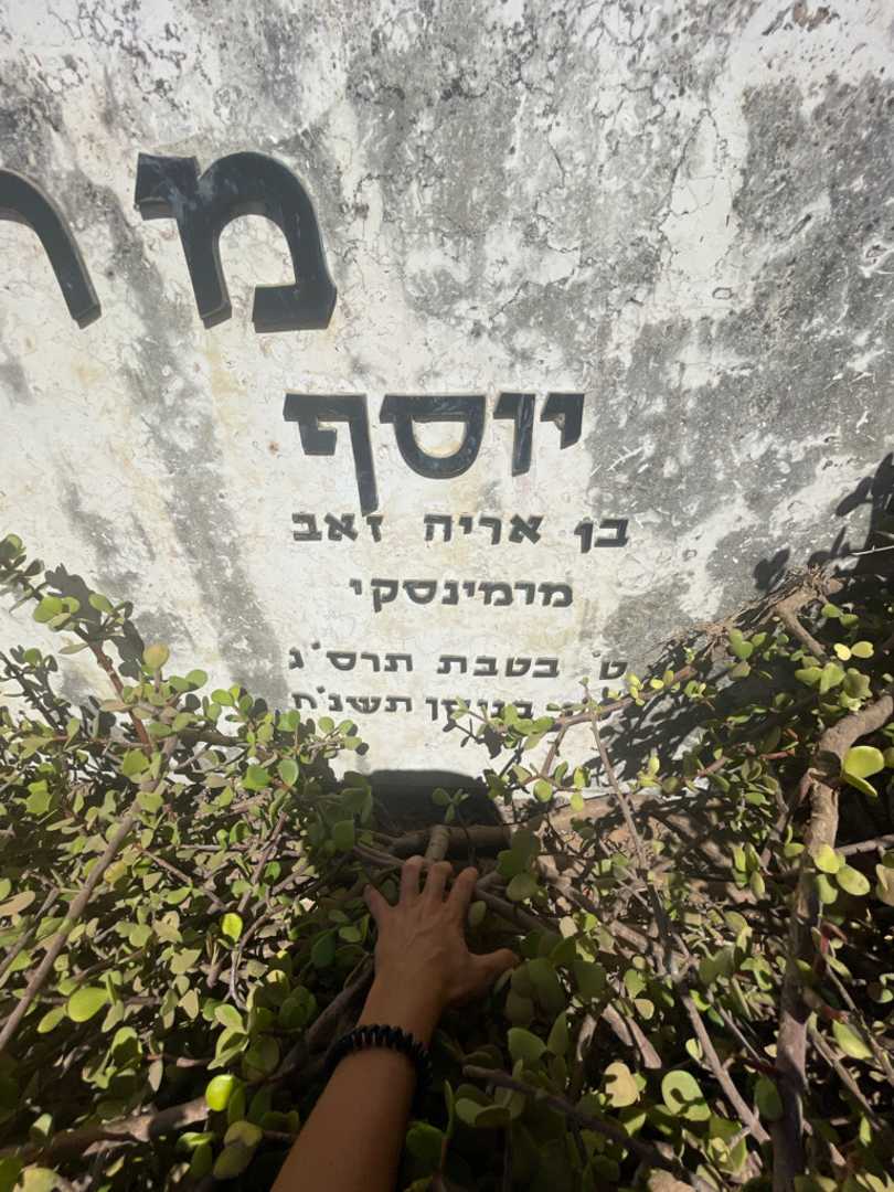 קברו של יוסף מרומי. תמונה 2