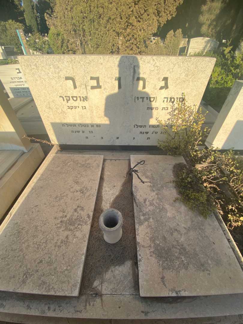 קברו של אוסקר גרובר. תמונה 1