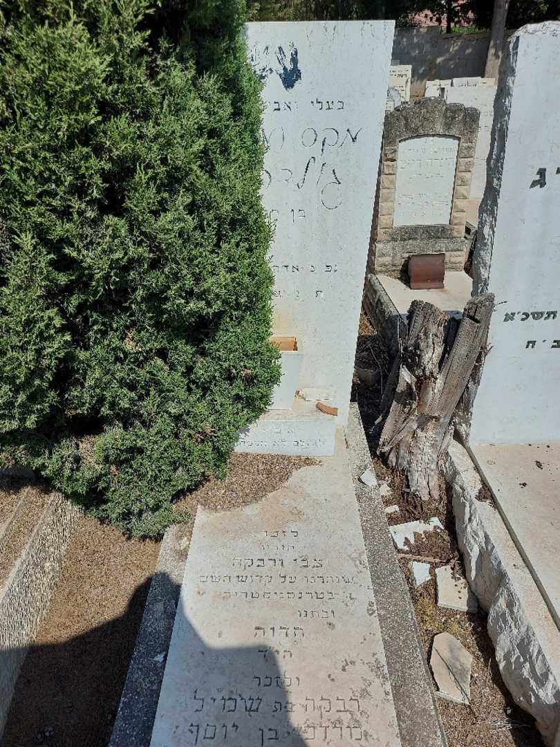 קברו של מקס גוחד