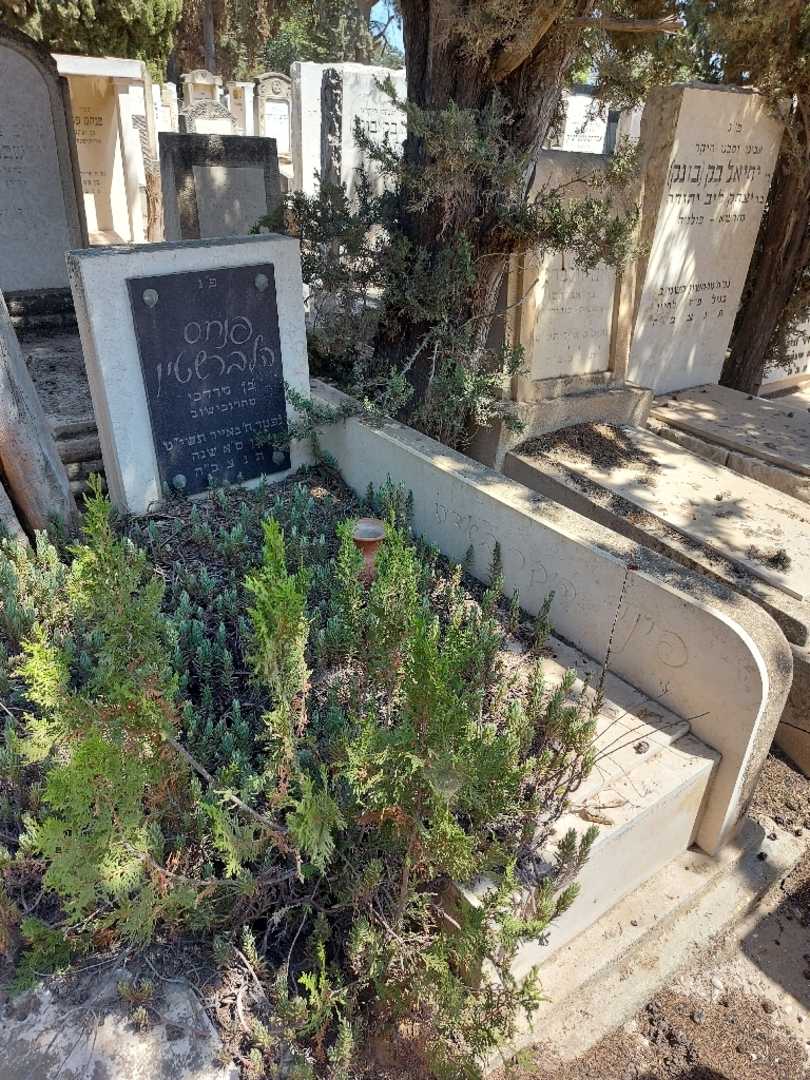 קברו של פנחס הלברשטין. תמונה 2