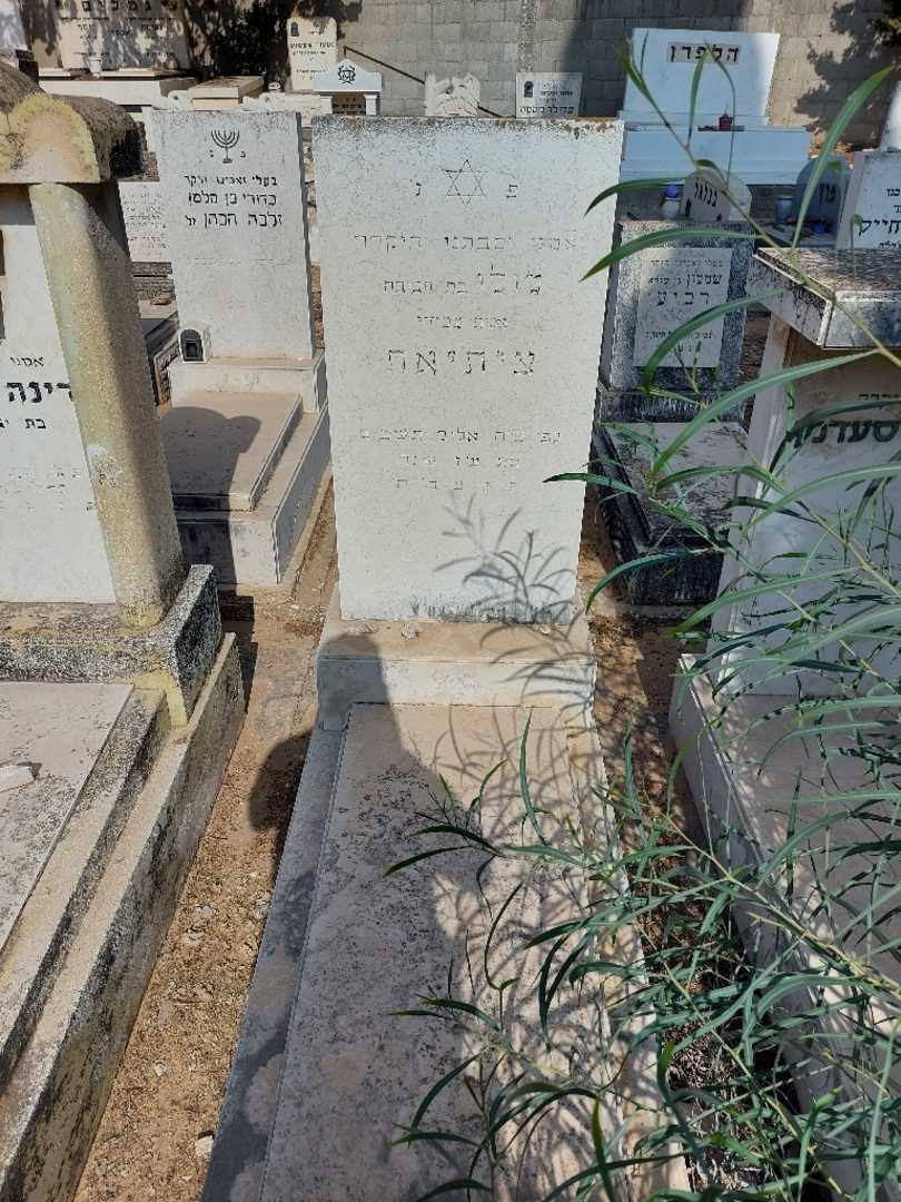 קברו של לולו ציתיאח