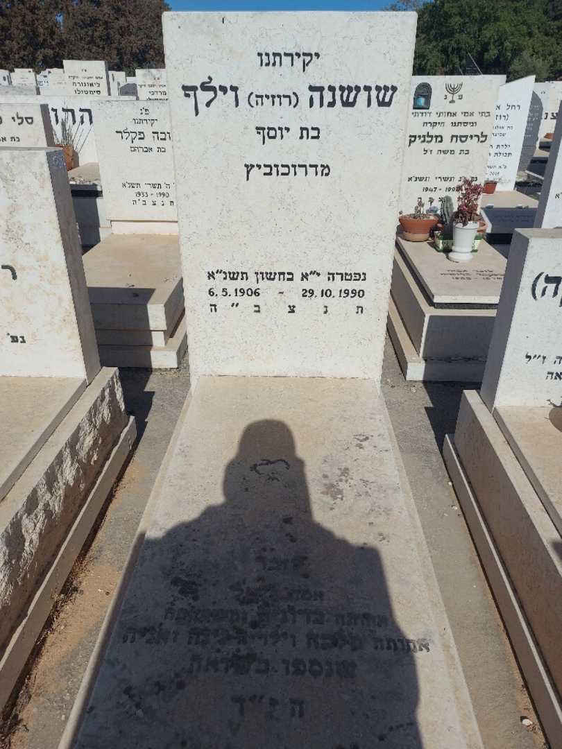 קברו של שושנה רוזיה וילף