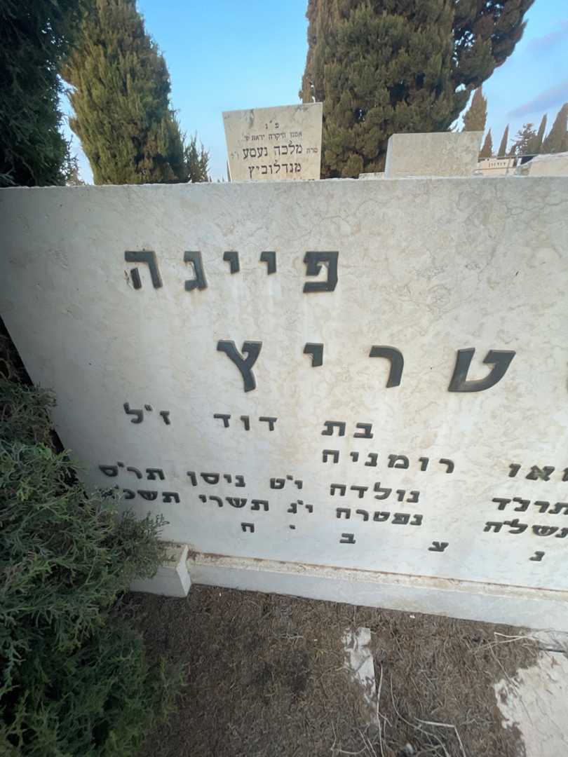 קברו של פייגה קוסטריץ. תמונה 2