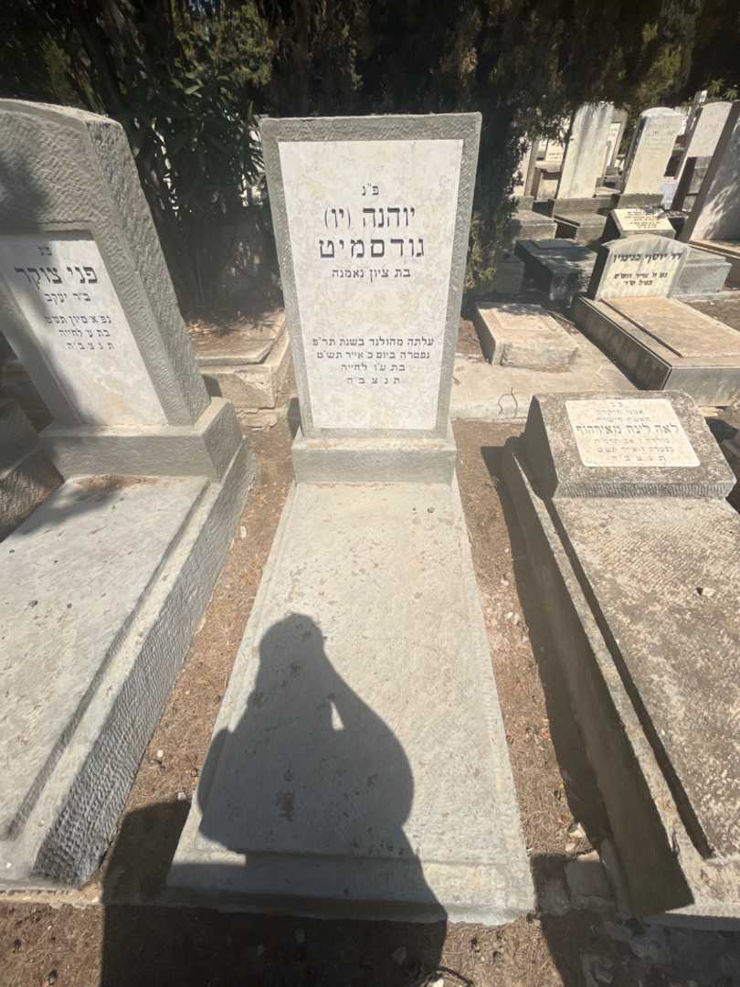 קברו של יוהנה "יו" גודסמיט