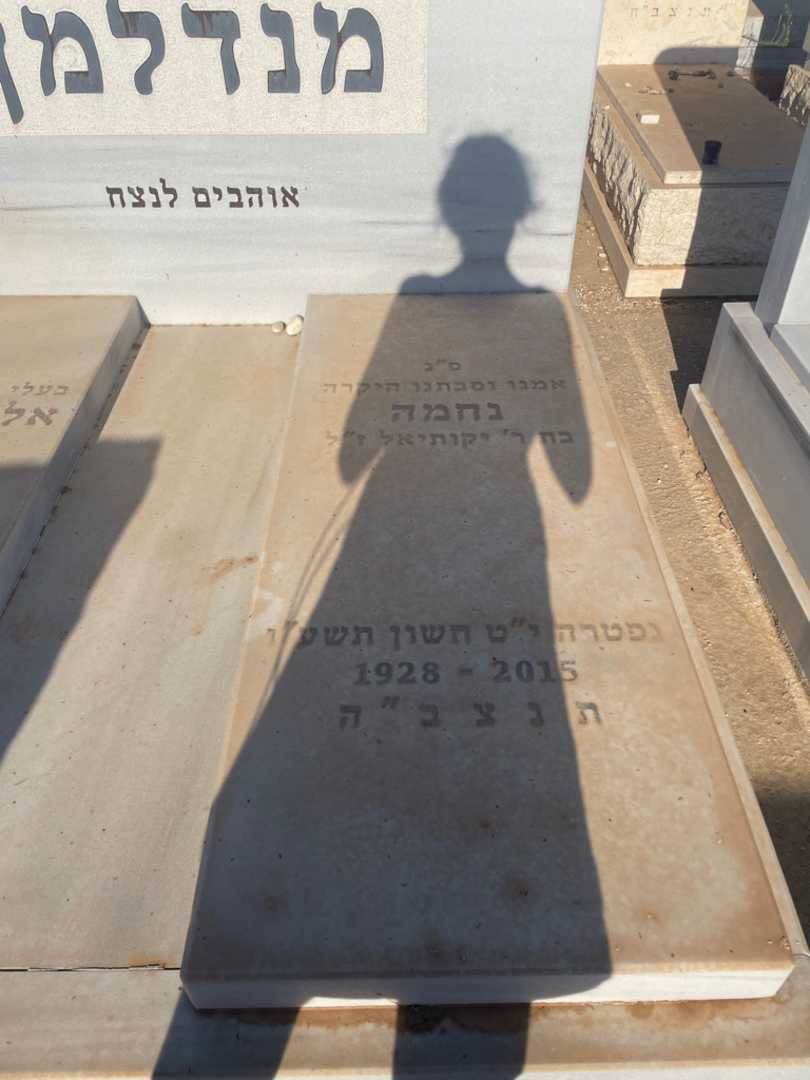 קברו של נחמה מנדלמן. תמונה 2